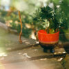 HKLIVING Retro Flower Pot - Cherry Red - Afbeelding 3